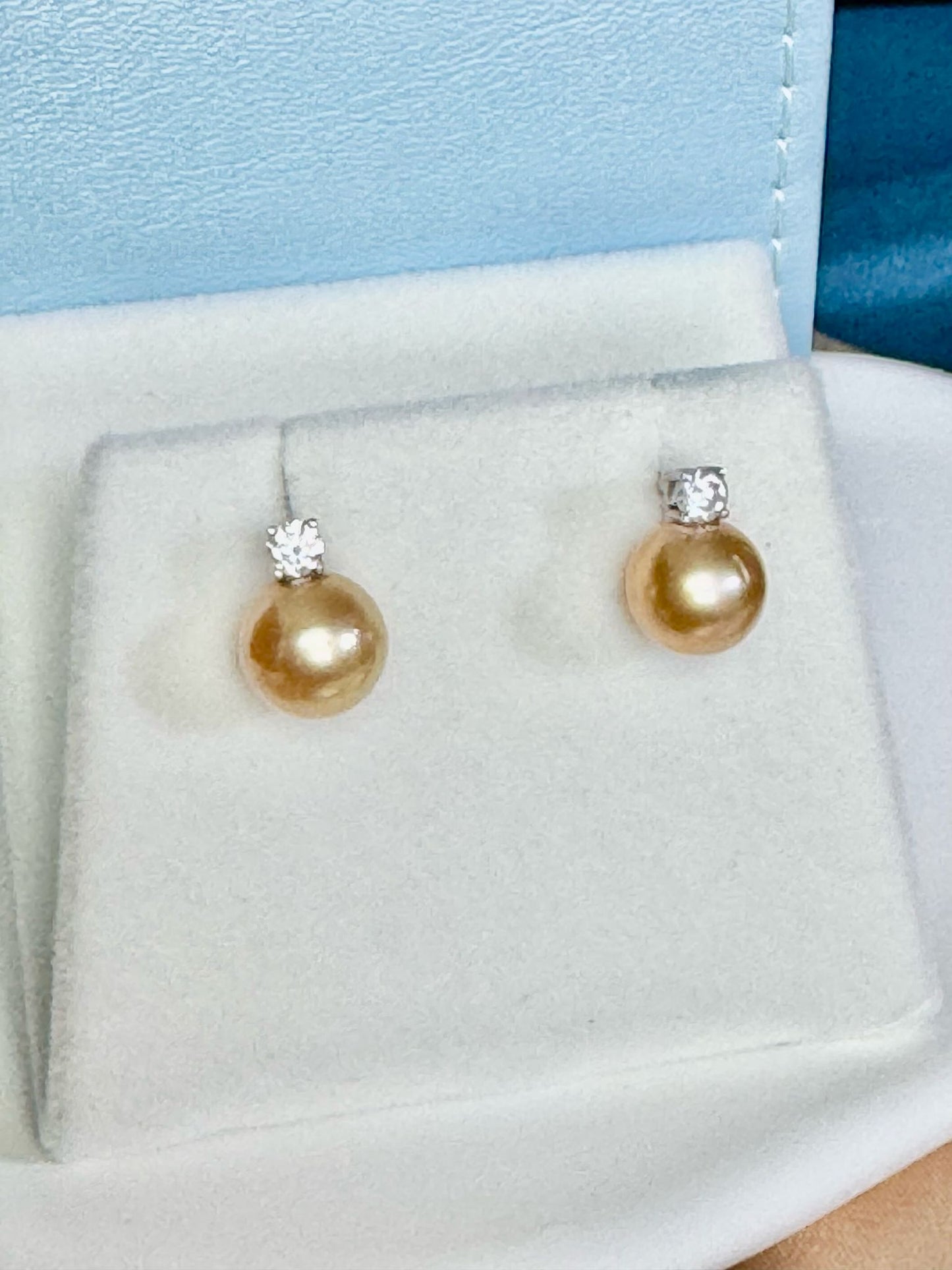 Starlight Golden South Sea Pearl Earrings (ER005)