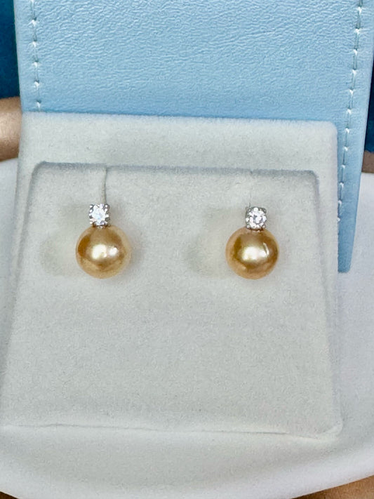 Starlight Golden South Sea Pearl Earrings (ER005)